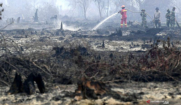 greenpeace-minta-asean-tangani-karhutla-secara-lintas-batas