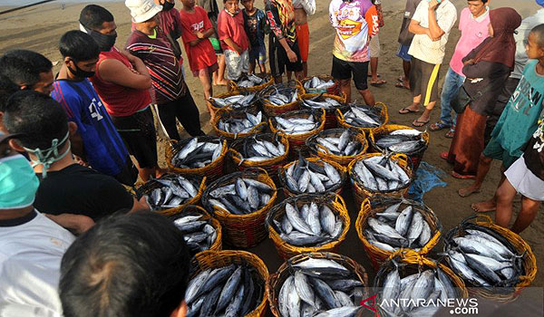 permintaan-turun-nelayan-di-garut-kesulitan-jual-ikan