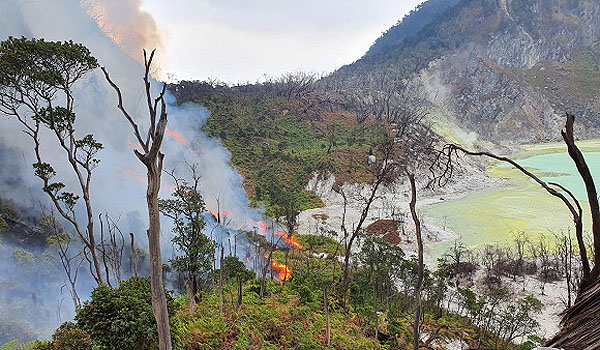 kebakaran-lahan-di-kawasan-kawah-putih-capai-15-hektare