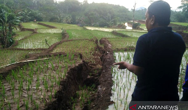 tanah-bergerak-di-cianjur-rusak-saluran-irigasi