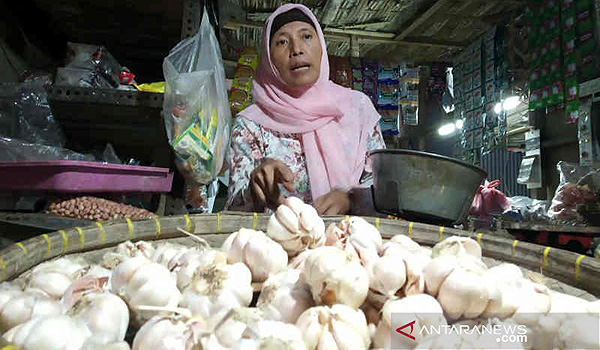 harga-bawang-putih-di-indramayu-berangsur-turun