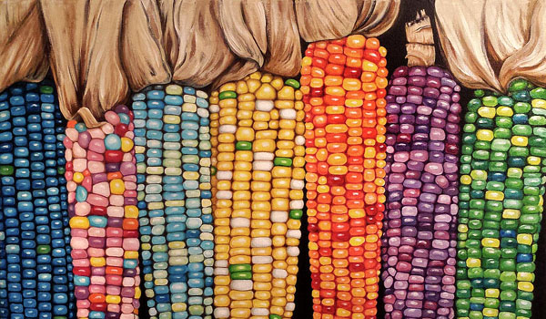 glass-gem-corn-jagung-warna-warni-yang-dikembangkan-petani-cianjur