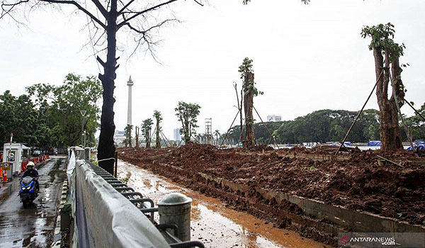 191-pohon-yang-ditebang-di-monas-terindikasidimanfaatkan