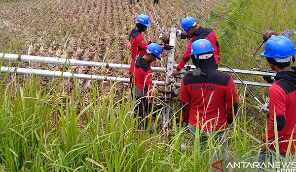 puluhan-tiang-listrik-pln-di-cianjur-roboh