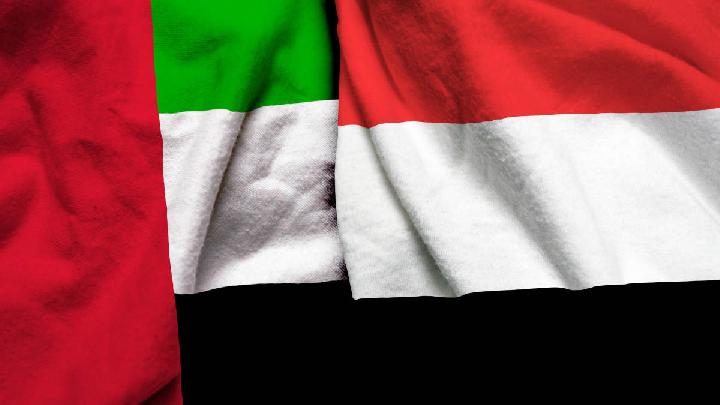 dari-sekutu-jadi-rival-arab-saudi-dan-uea-pecah-kongsi-regional