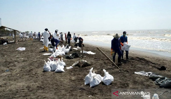 tumpahan-minyak-pertamina-kembali-cemari-pantai-karawang