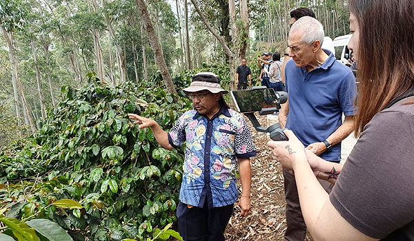 investor-singapura-dan-malaysia-kunjungi-kebun-kopi-di-pangalengan