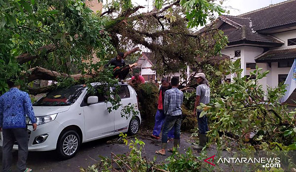 seorang-ibu-terjebak-di-dalam-mobil-yang-tertimpa-pohon