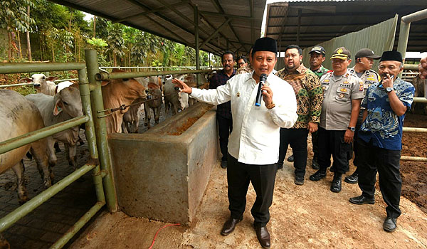 pemprov-jabar-janjikan-pelatihan-ternak-sapi-untuk-santri-milenial