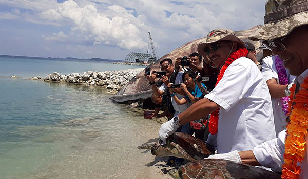 menpar-lepasliarkan-penyu-di-pulau-pengelap-batam