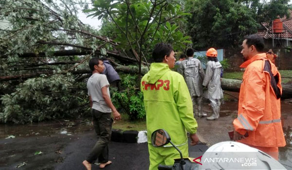 hujan-deras-di-bandung-sebabkan-banjir-dan-pohon-tumbang