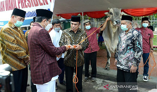 pemotongan-hewan-kurban-di-masjid-istiqlal-dilaksanakan-besok