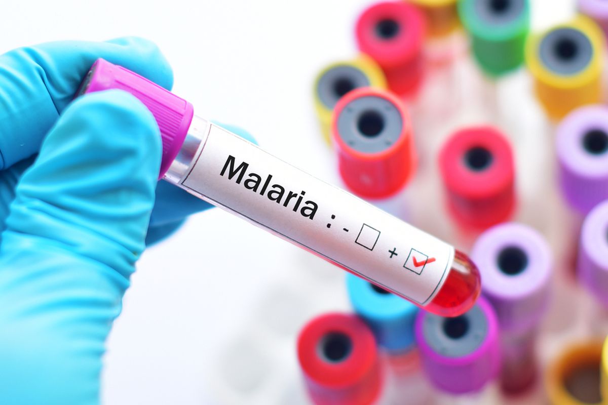 kemenkes-dan-papua-sepakat-eliminasi-malaria-hingga-2030