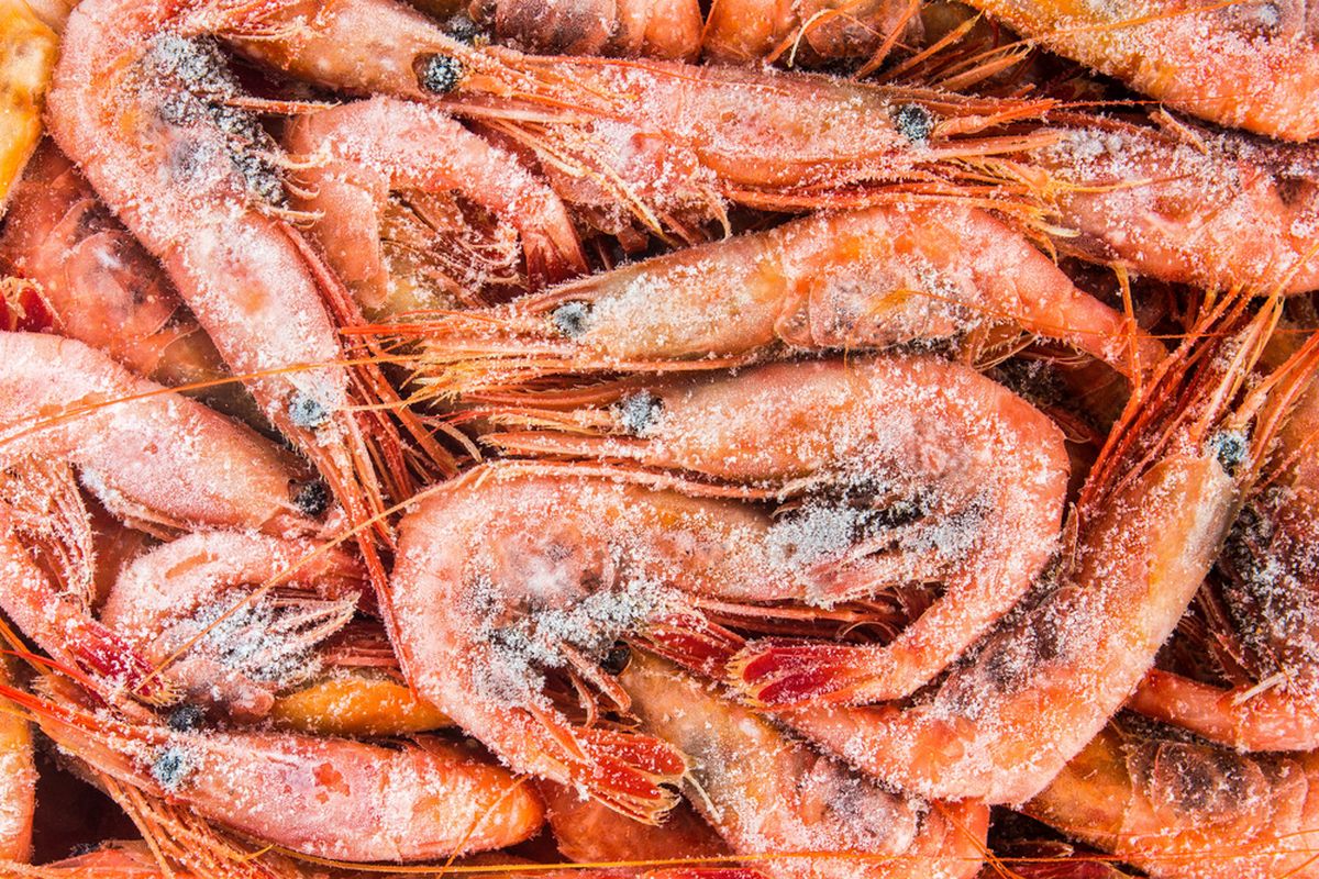 udang-ri-kena-tarif-22-trenggono-optimis-kedepan-bisa-turun
