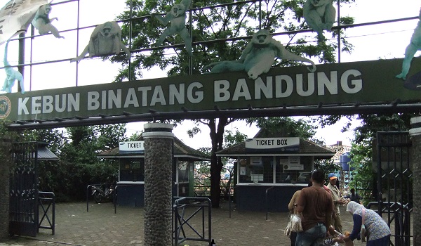 pemilu-bandung-zoo-gratiskan-keluarga-pencoblos