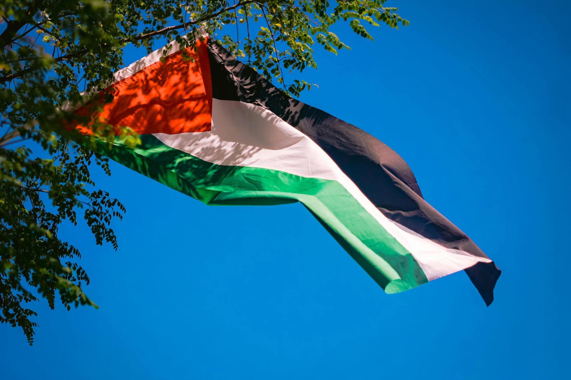 italia-kami-semakin-dekat-mengakui-negara-palestina