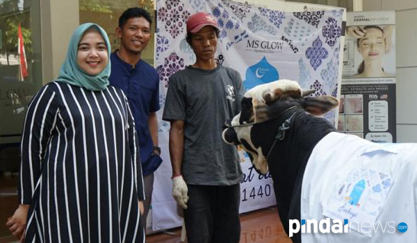 ms-glow-kerja-sama-eka-ramdani-berkurban-7-sapi-dan-3-kambing