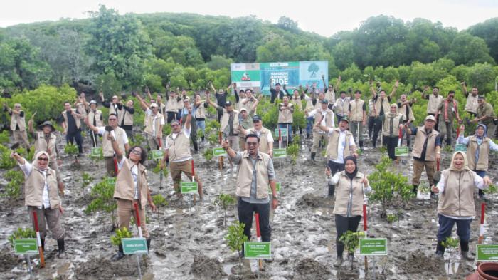 rehabilitas-mangrove-kemenhut-gelar-mangrofest-2025