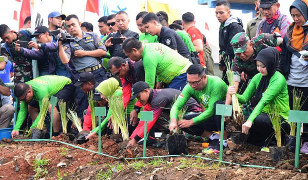 ridwan-kamil-tanam-akar-wangi-di-jembatan-citarum