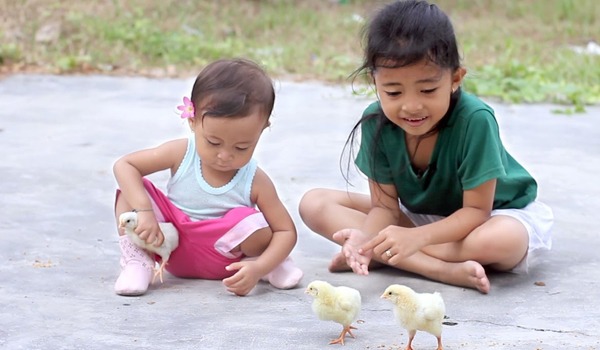 kurangi-depresi-anak-akibat-gadget-oded-berikan-anak-ayam-gratis