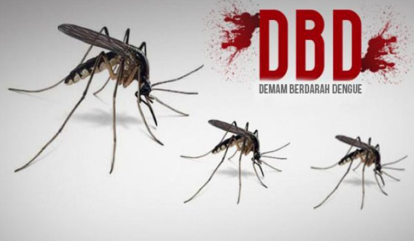 kasus-dbd-meningkat-cianjur-belum-tetapkan-status-klb