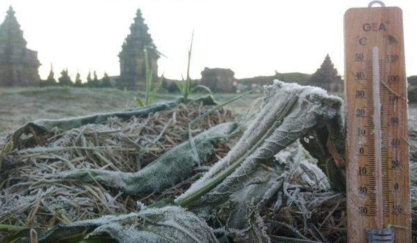 fenomena-embun-upas-kembali-muncul-di-dieng