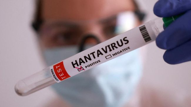 kemenkes-waspadai-hantavirus-kasus-naik-dalam-dua-tahun
