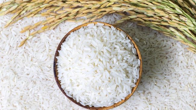 stok-beras-aman-fraksi-gerindra-ri-tak-perlu-impor