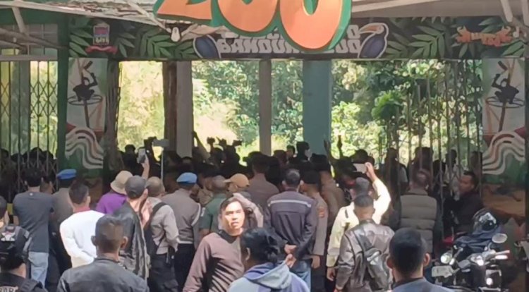 kembali-kisruh-pemkot-ultimatum-pengelola-bandung-zoo