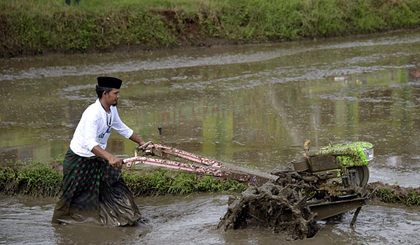 jabar-terus-dorong-eksistensi-petani-milenial