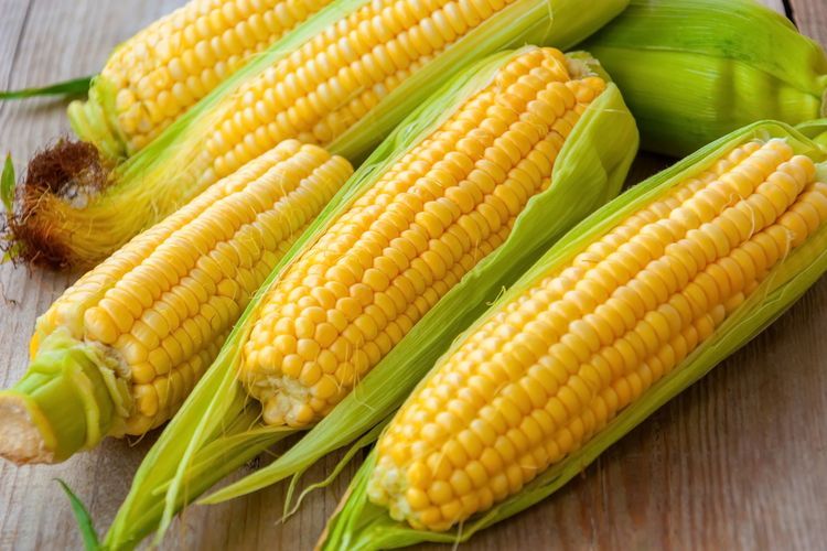 kebutuhan-dalam-negeri-terpenuhi-kementan-pastikan-tak-impor-jagung