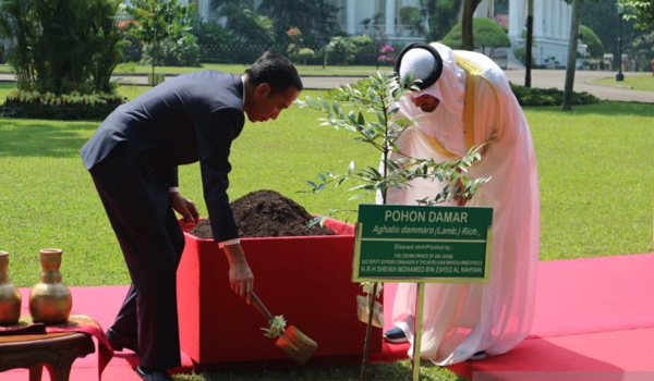 presiden-jokowi-dan-sheikh-mohamed-tanam-pohon-di-istana-bogor