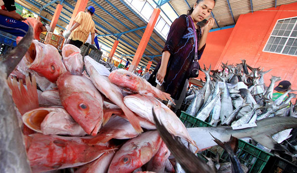 kenaikan-harga-ikan-picu-inflasi-di-bulan-januari