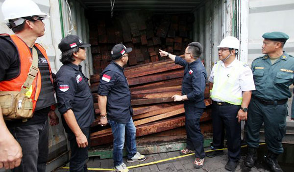 klhk-gagalkan-penyelundupan-puluhan-kontainer-kayu-merbau