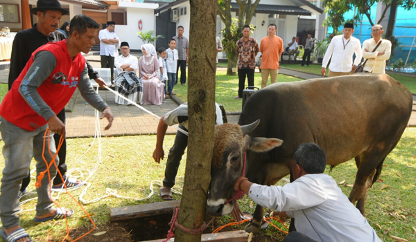 begini-suasana-pelaksanaan-kurban-di-rumah-dinas-gubernur-jabar