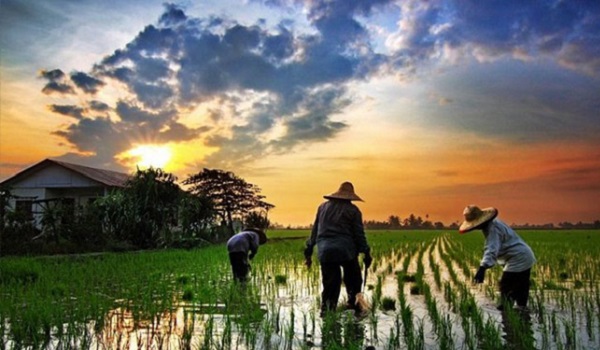 perombakan-gerbong-desa-hambat-perkembangan-desa-mandiri-di-jabar