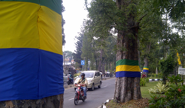 minimalisir-pohon-tumbang-dpkp3-imbau-warga-jaga-kesehatan-pohon