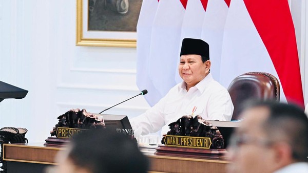presiden-cadangan-pangan-ri-saat-ini-terbesar-sepanjang-sejarah