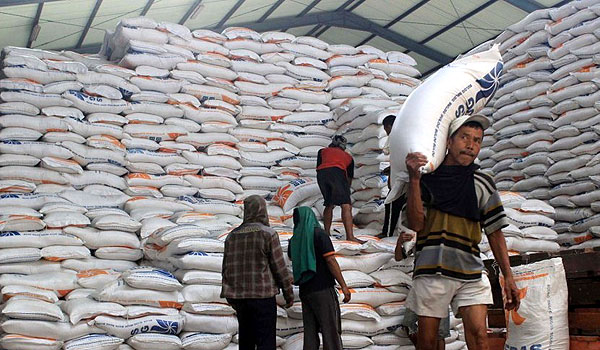 terancam-gagal-panen-stok-beras-di-cianjur-tetap-aman