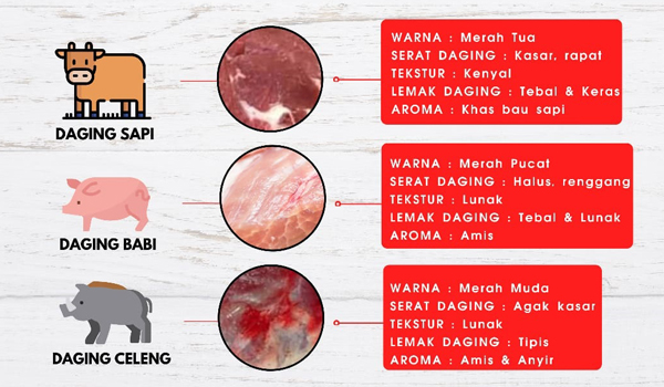 ini-cara-membedakan-daging-sapi-babi-dan-celeng