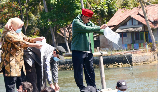 uu-ruzhanul-tebar-benih-udang-dan-ikan-bandeng-di-pangandaran