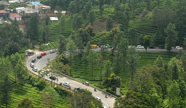 volume-kendaraan-di-puncak-meningkat-tajam