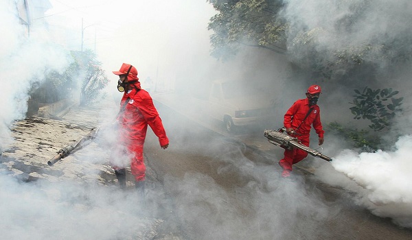 waspada-dbd-merebak-saat-musim-hujan-dan-peralihan