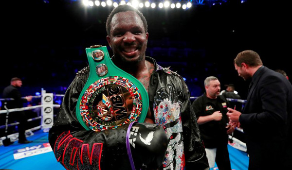 wbc-cari-informasi-terkait-laporan-uji-doping-whyte